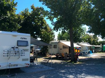 Spacious pitches with leafy trees