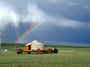 Mongolian yurt on the move, pulled by yaks