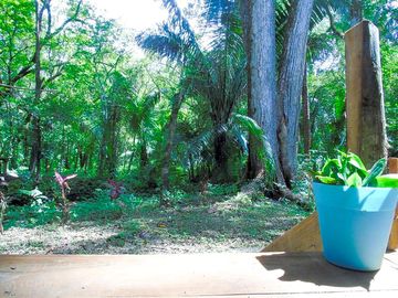 There's plenty of greenery on the site