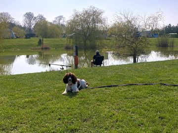 Chilling by the lake