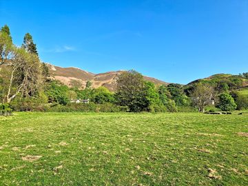 Tent pitches