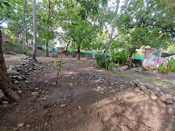 View of the site