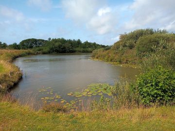 A lakeside view