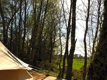 Looking out from the bell tent platform to the view beyond the trees