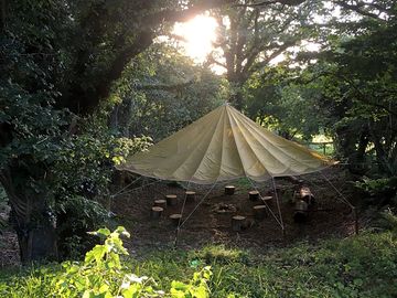 Share space in the woods under a parachute canopy