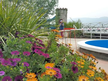 Flowers by the swimming pool