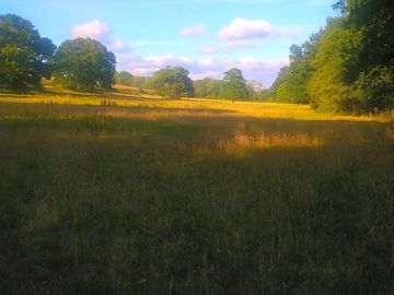 Evenings on site