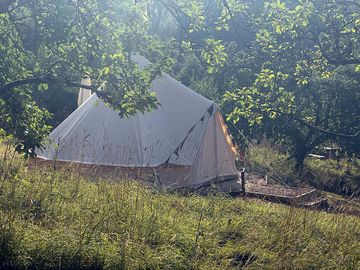Bell tent in the orchard