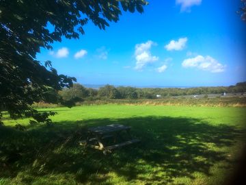 Field with view to puffin island