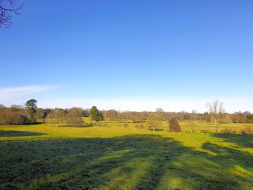 Lots of open space