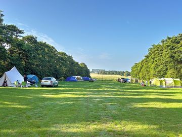 2025 Tent Pitches