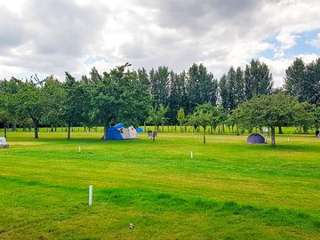 Visitor image of the tidy and peaceful pitches