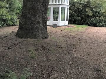 Temple across the park
