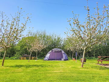 Visitor image of grass tent pitch