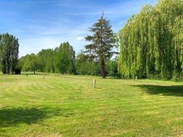 Lots of greenery