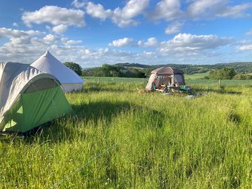 Camping with friends