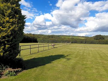 Well-kept grass fields