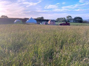 Camping fun
