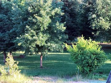 Lots of open space