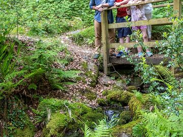 Follow the park's nature trails to a waterfall and stream