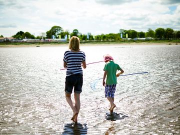 The beach