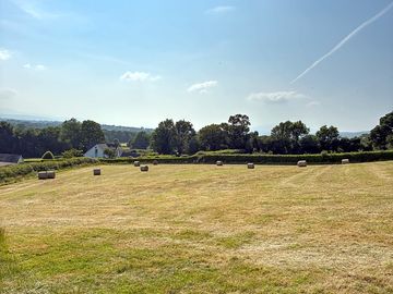 Camping field