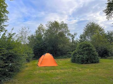 Grass pitches