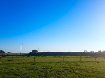 Blue skies