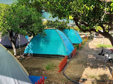 Ready tents in the shade
