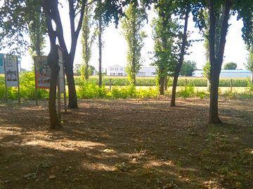 Shaded grass and earth pitches