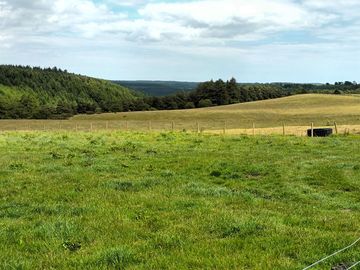 View from the site