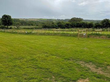 Electric grass pitches