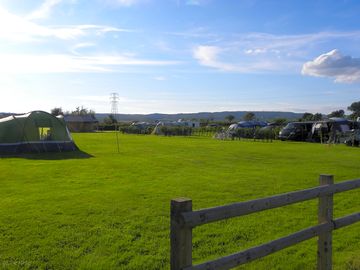 Grass tent pitches