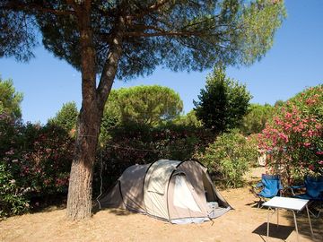 Camping pitches are spacious