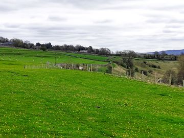 View from pitches