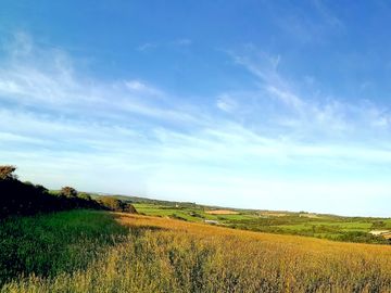 View from the camping field