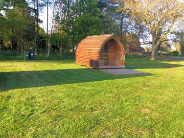 A glamping pod showing it’s spacious surroundings
