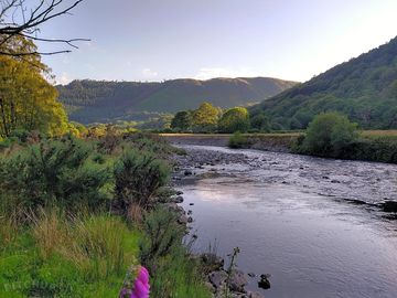 The view from the towy river