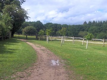 Explore hollybank woods