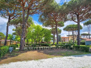 Large pitch under the trees
