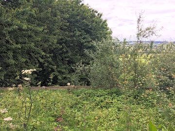 Surrounded by nature