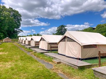 Safari tents