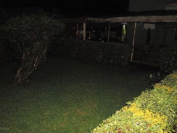 Grassy pitch