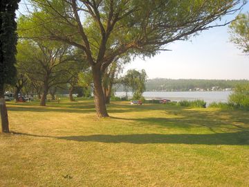 Grassy sites