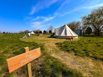 The Oink Oink bell tent area