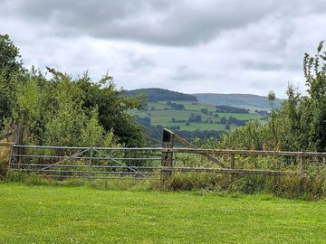 View from the field
