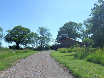 The glamping field