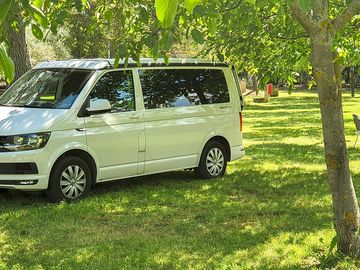 Pitches for campers and tourers