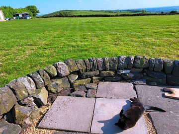 Firepit on site