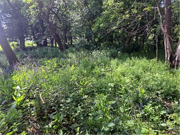 Rural views all around